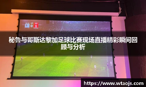 秘鲁与哥斯达黎加足球比赛现场直播精彩瞬间回顾与分析